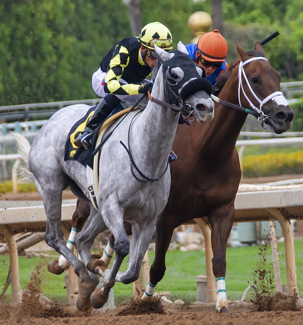 甲赛场均保 甲赛场均保