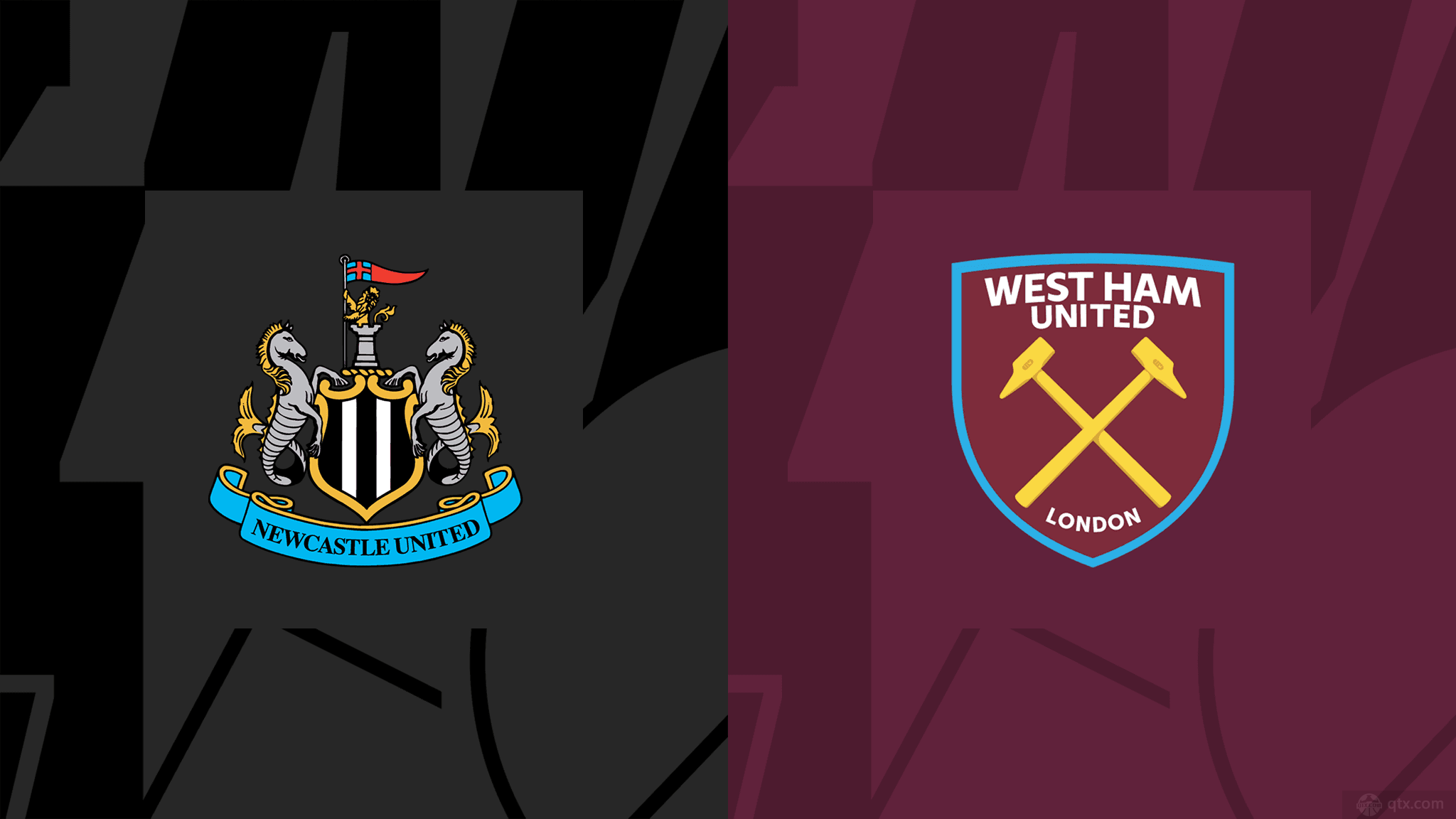 年轻球员树 年轻球员树